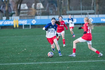 Bild 312 - wBJ Hamburger SV - Holstein Kiel : Ergebnis: 8:0